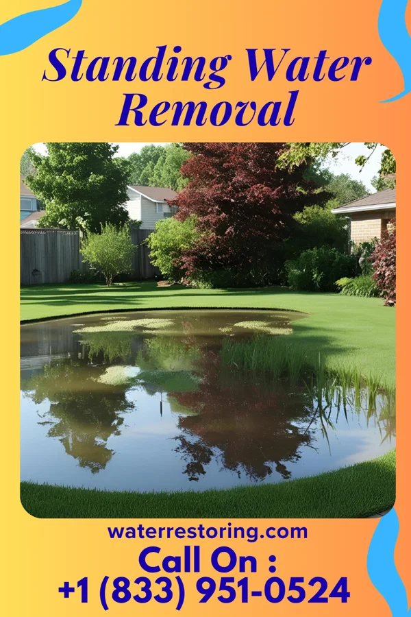 Standing Water Removal in East York, PA